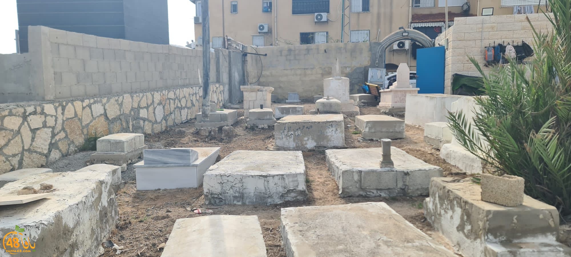 WhatsApp Image 2023-06-03 at 10.11.52 AM (1).jpeg